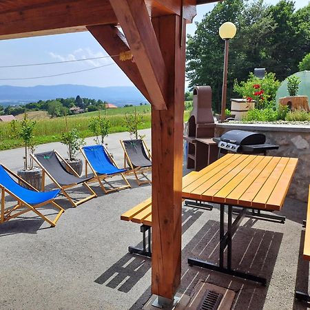 Apartments Jernej With Onsite Wellness Brežice Exteriör bild